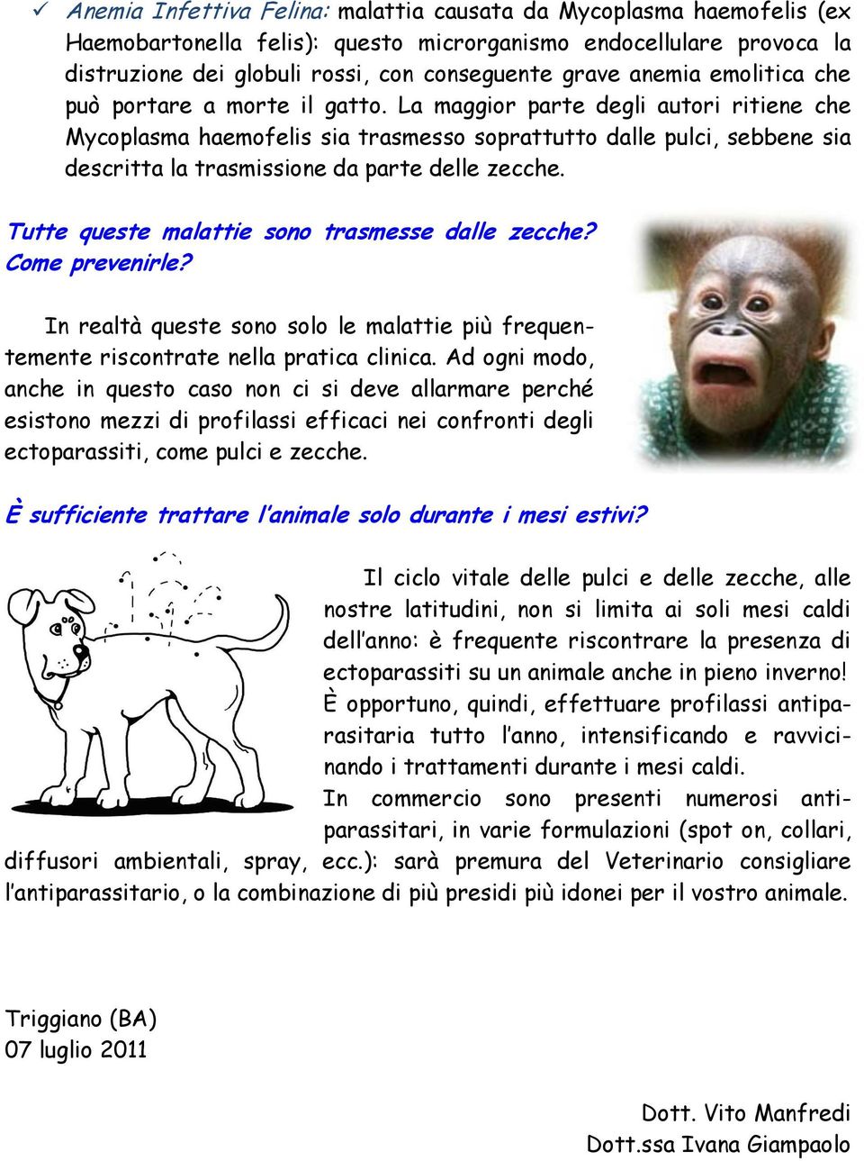 La maggior parte degli autori ritiene che Mycoplasma haemofelis sia trasmesso soprattutto dalle pulci, sebbene sia descritta la trasmissione da parte delle zecche.