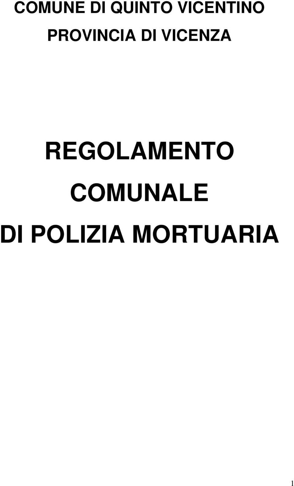 VICENZA REGOLAMENTO