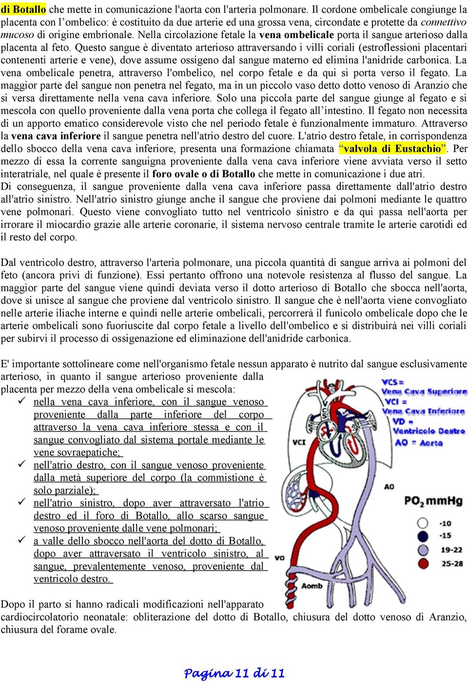 Nella circolazione fetale la vena ombelicale porta il sangue arterioso dalla placenta al feto.