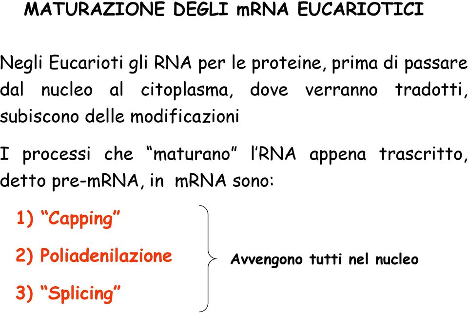 delle modificazioni I processi che maturano l RNA appena trascritto, detto
