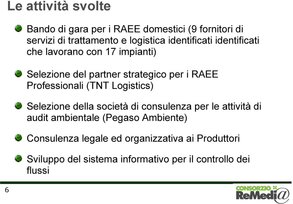 Professionali (TNT Logistics) Selezione della società di consulenza per le attività di audit ambientale