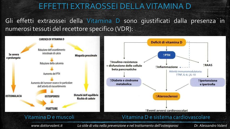 presenza in numerosi tessuti del recettore specifico