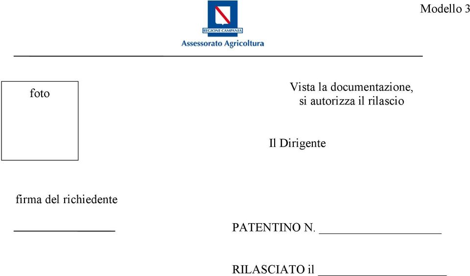 rilascio Il Dirigente firma del