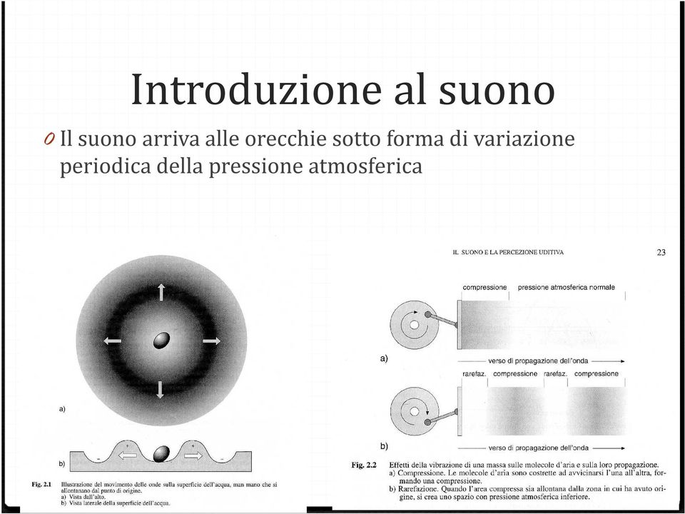 sotto forma di variazione