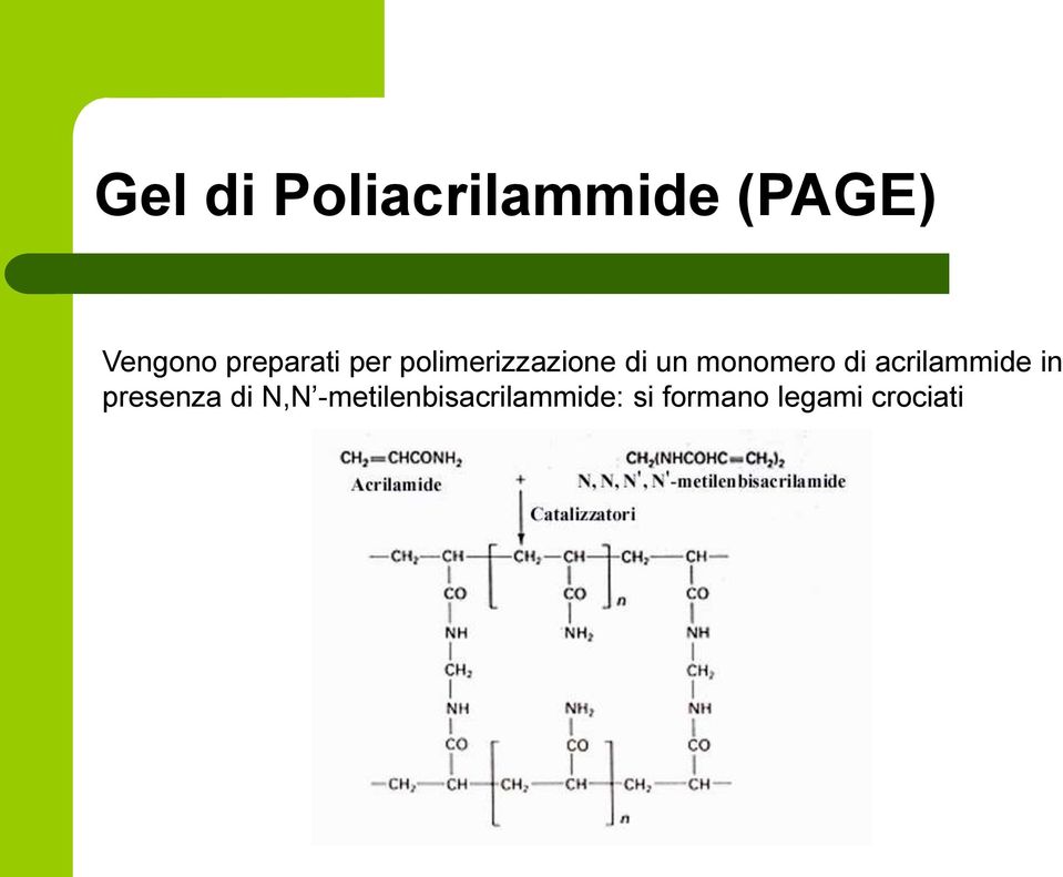 monomero di acrilammide in presenza di