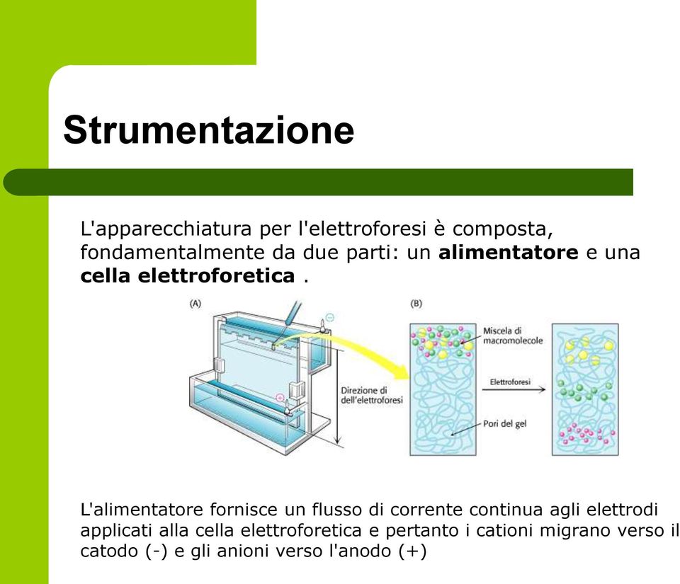 L'alimentatore fornisce un flusso di corrente continua agli elettrodi applicati