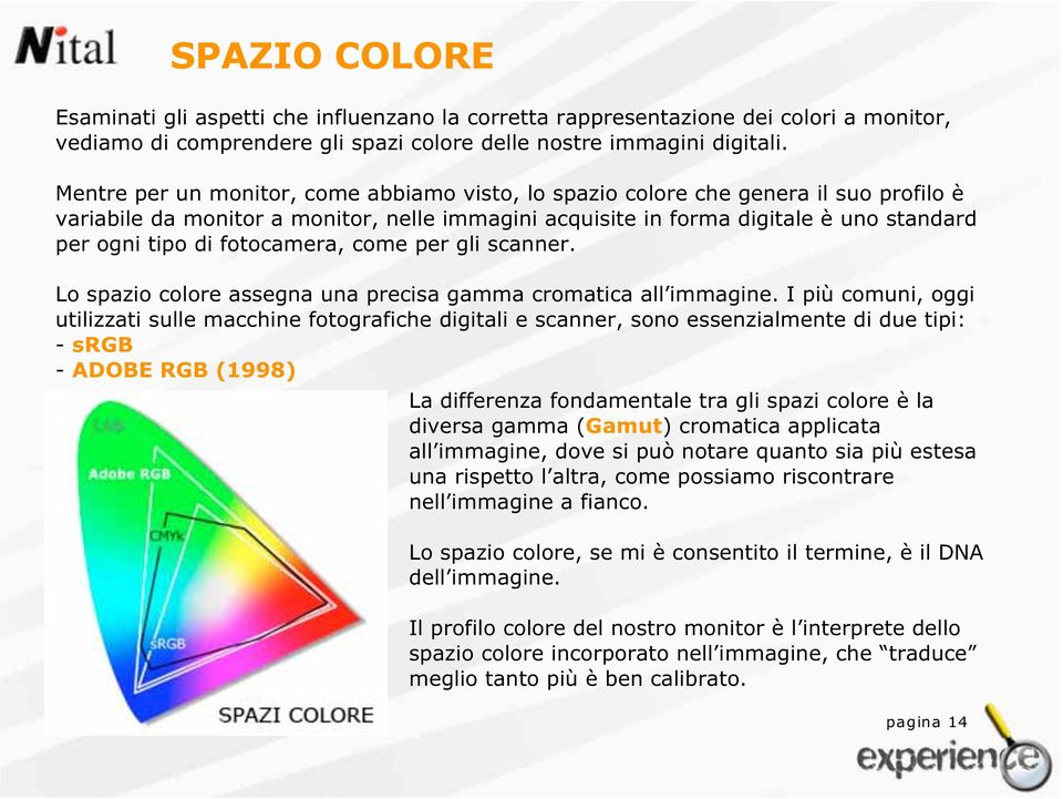 fotocamera, come per gli scanner. Lo spazio colore assegna una precisa gamma cromatica all immagine.