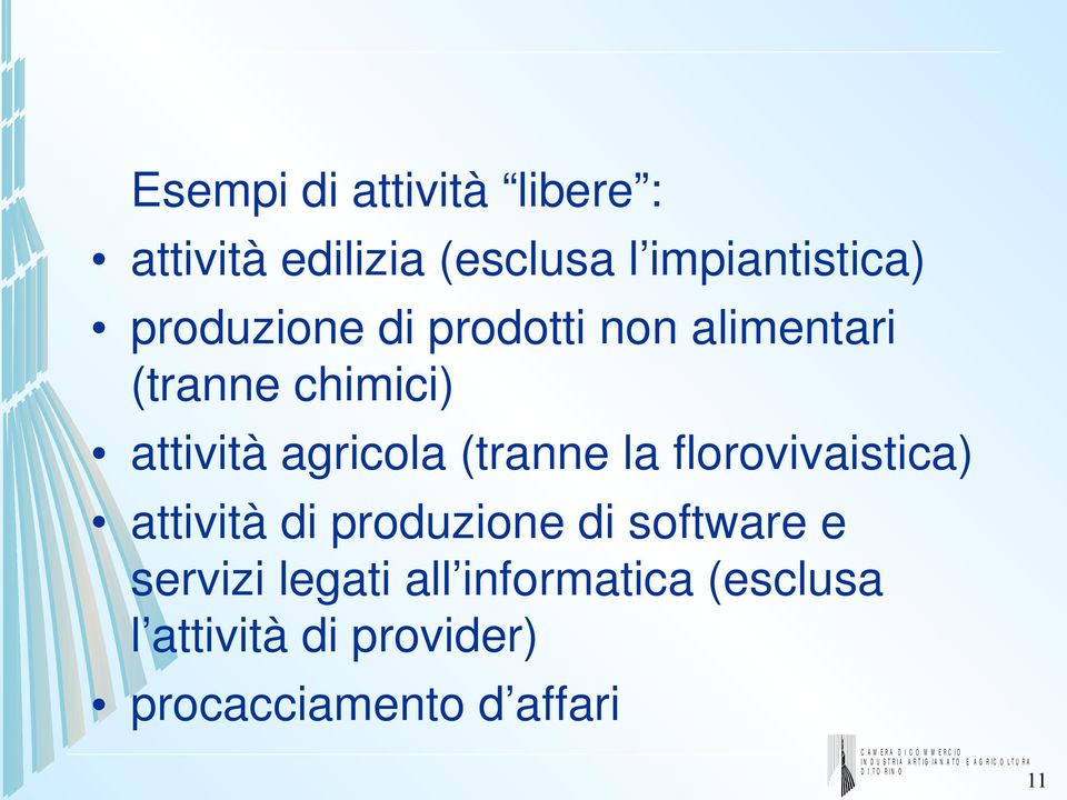 (tranne la florovivaistica) attività di produzione di software e servizi