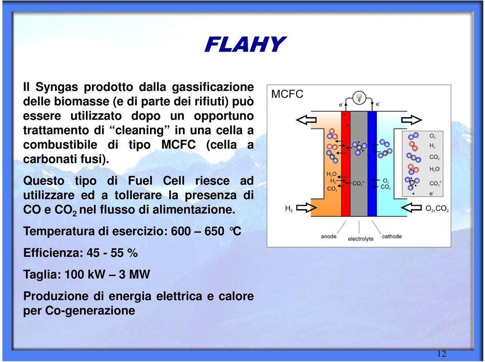 Questo tipo di Fuel Cell riesce ad utilizzare ed a tollerare la presenza di CO e CO 2 nel flusso di alimentazione.