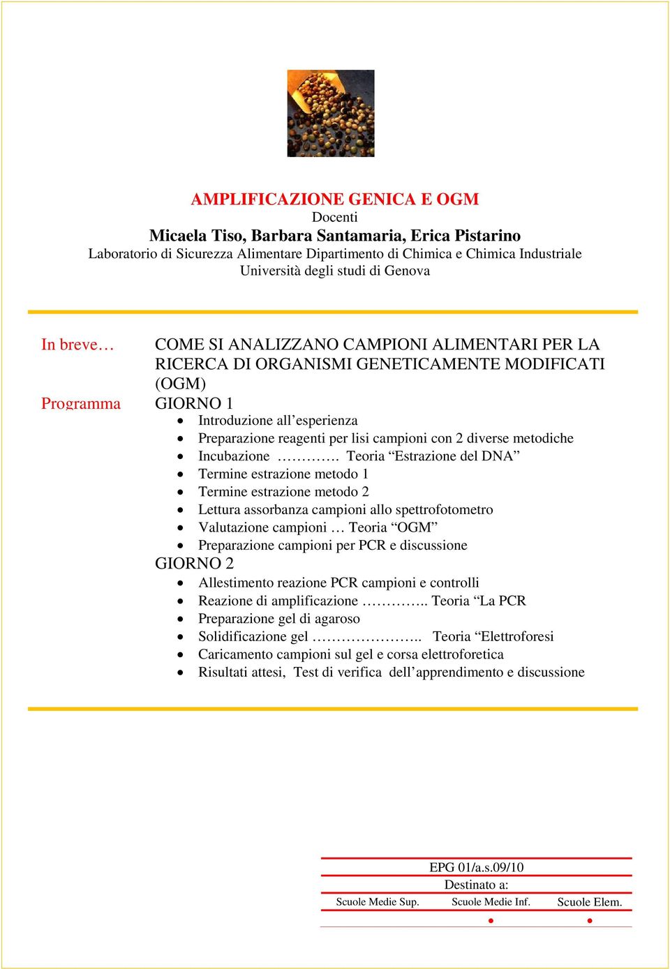 Teoria Estrazione del DNA Termine estrazione metodo 1 Termine estrazione metodo 2 Lettura assorbanza campioni allo spettrofotometro Valutazione campioni Teoria OGM Preparazione campioni