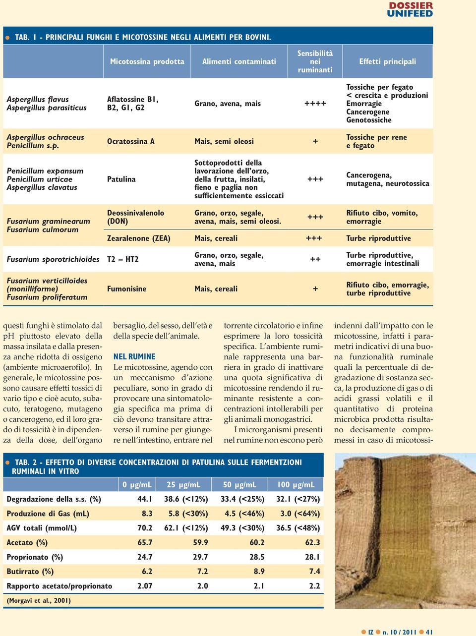 per fegato < crescita e produzioni Emorragie Cancerogene Genotossiche Aspergillus ochraceus Penicillum s.p. Ocratossina A Mais, semi oleosi + Tossiche per rene e fegato Penicillum expansum Penicillum