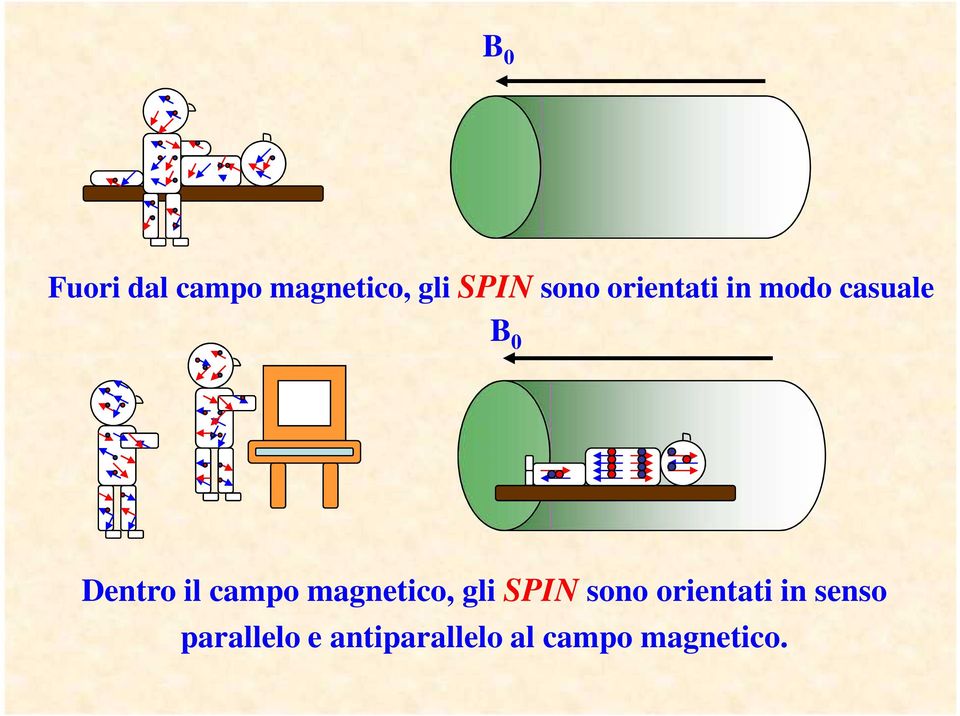 magnetico, gli SPIN sono orientati in senso