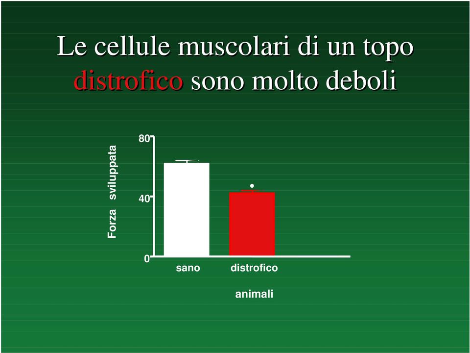 deboli Forza sviluppata 80