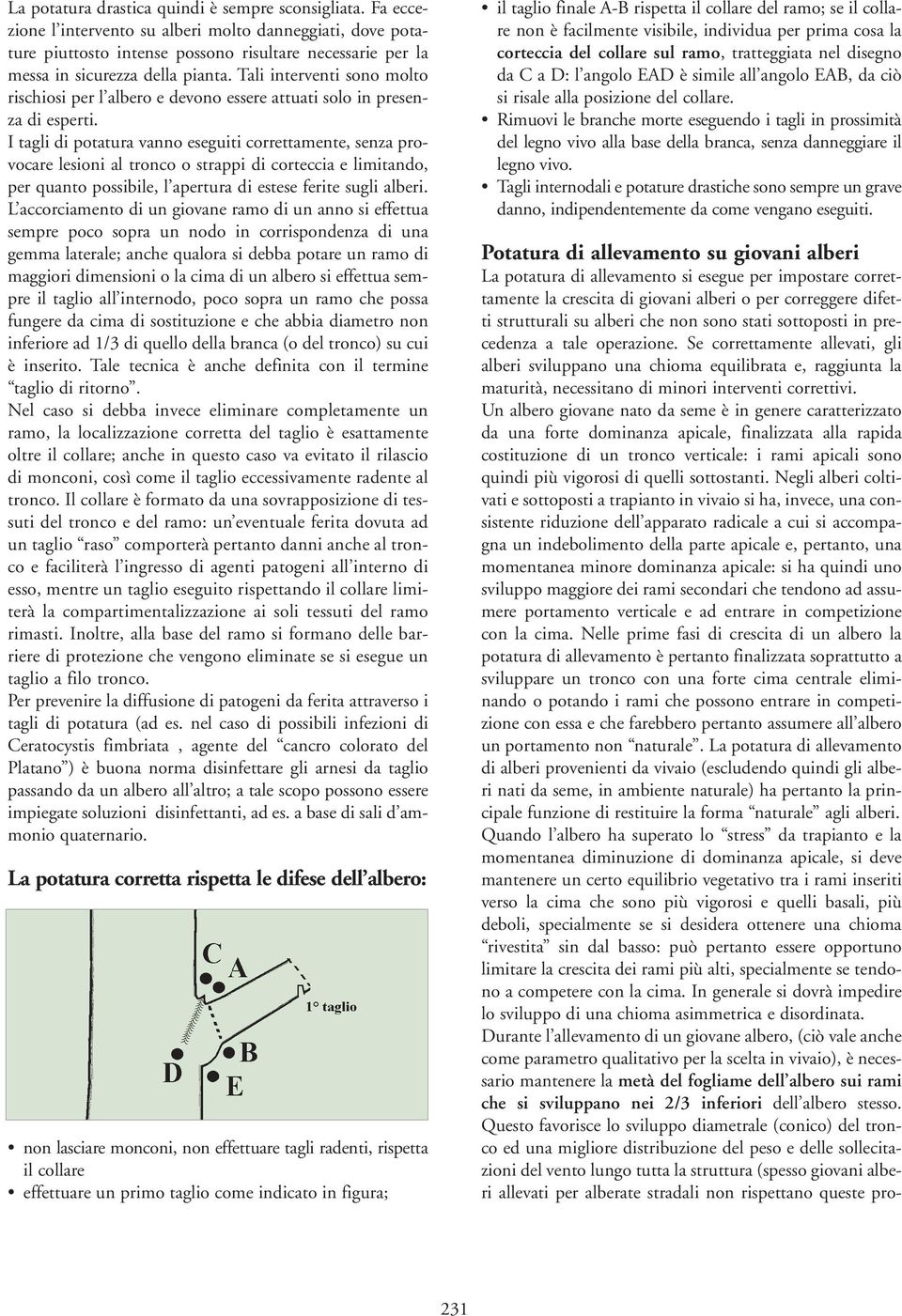 Tali interventi sono molto rischiosi per l albero e devono essere attuati solo in presenza di esperti.