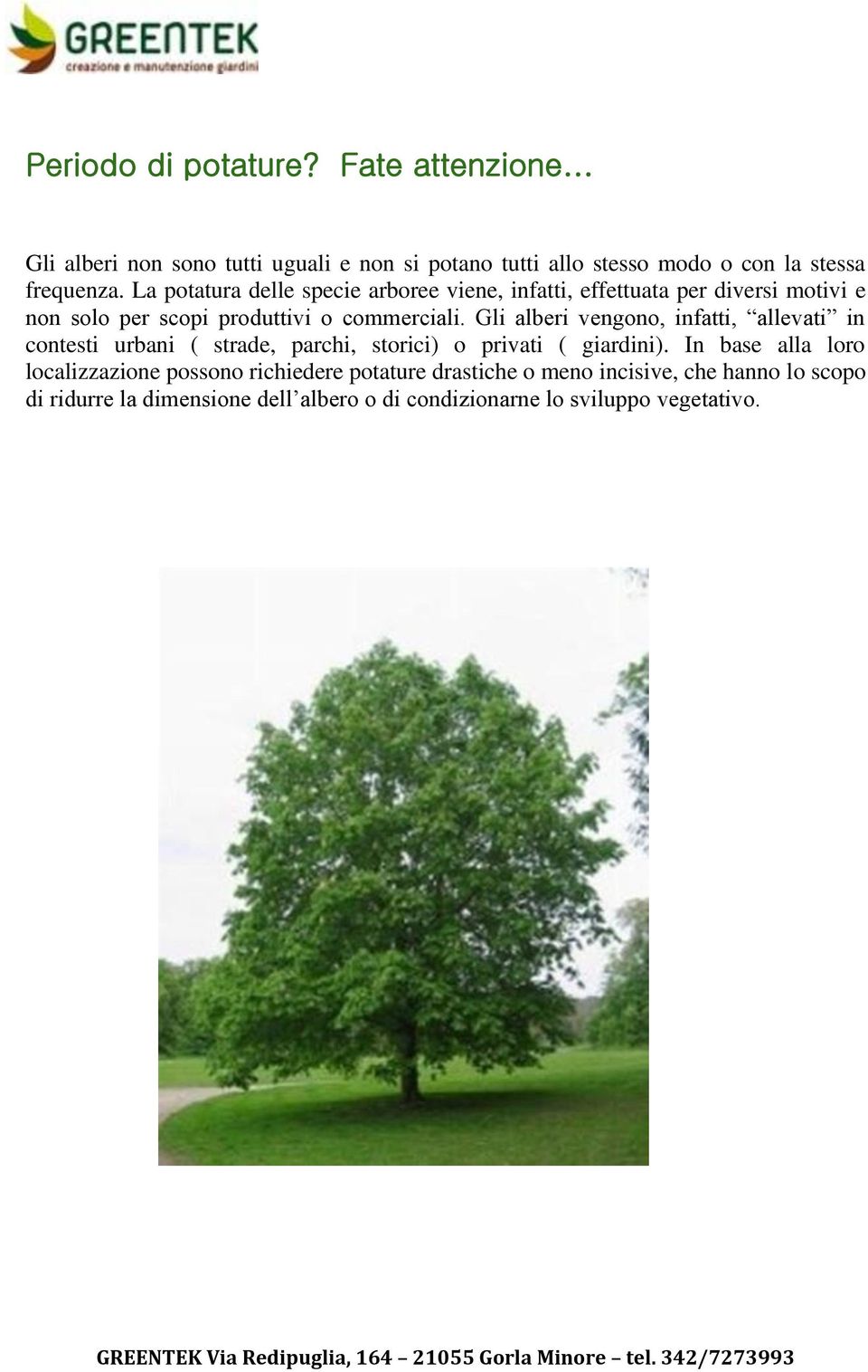 Gli alberi vengono, infatti, allevati in contesti urbani ( strade, parchi, storici) o privati ( giardini).
