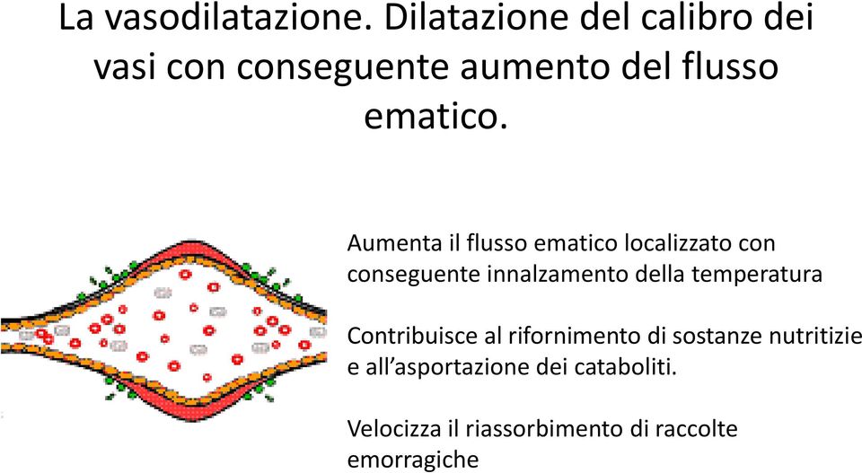 Aumenta il flusso ematico localizzato con conseguente innalzamento della