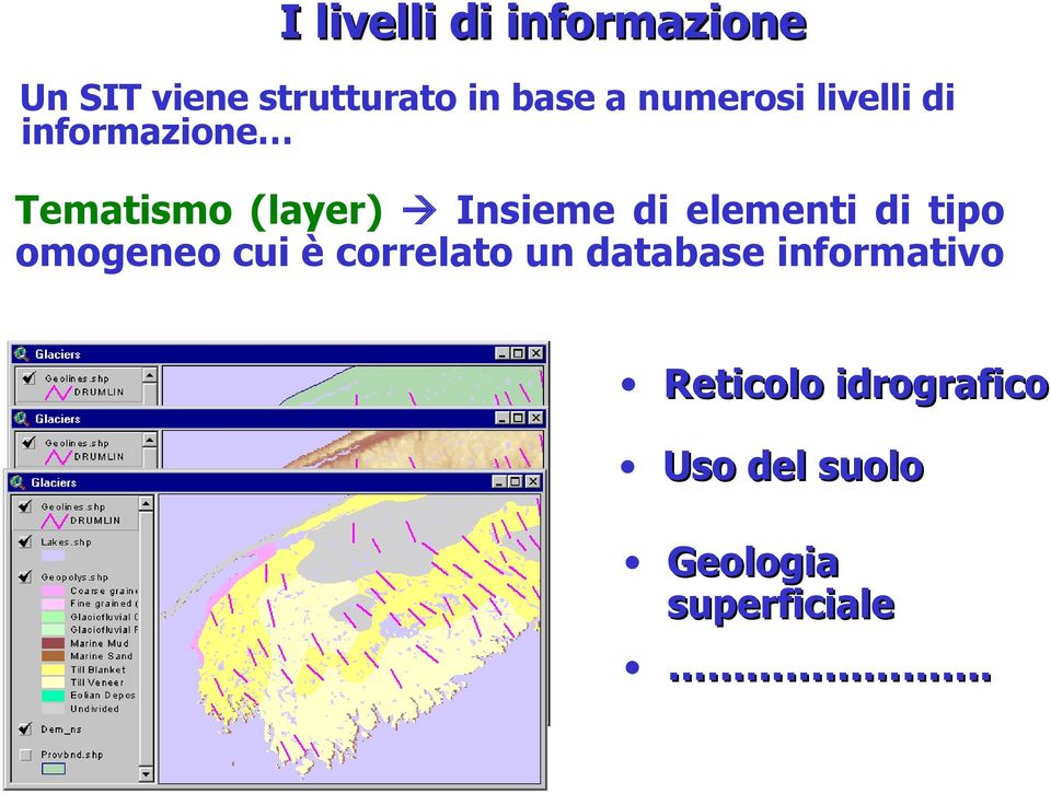 elementi di tipo omogeneo cui è correlato un database