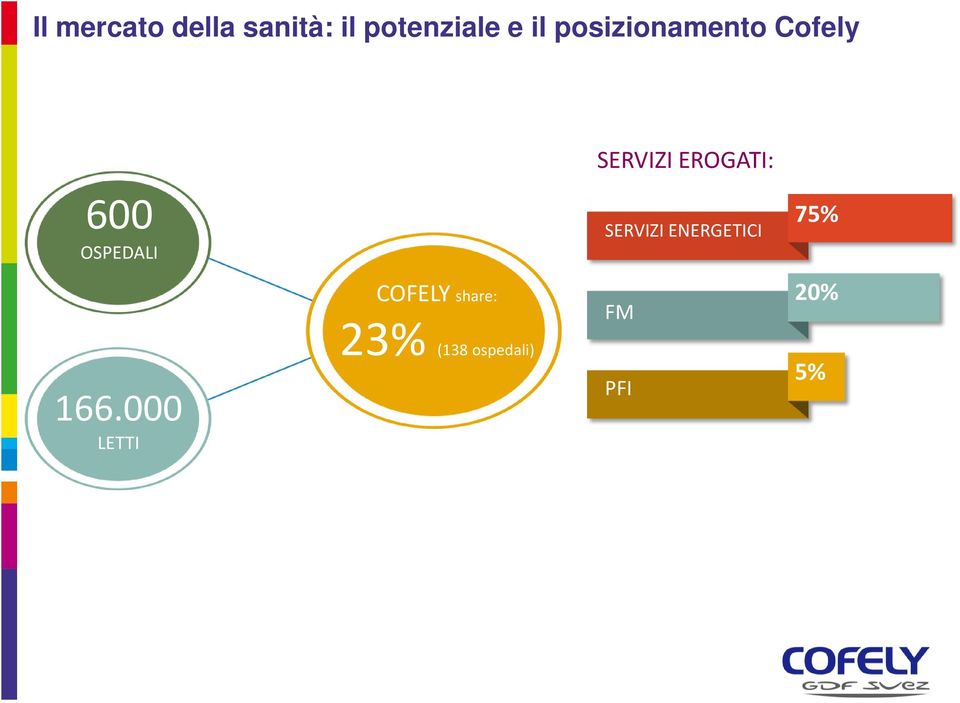 SERVIZI ENERGETICI 75% COFELY share: FM 20% 166.