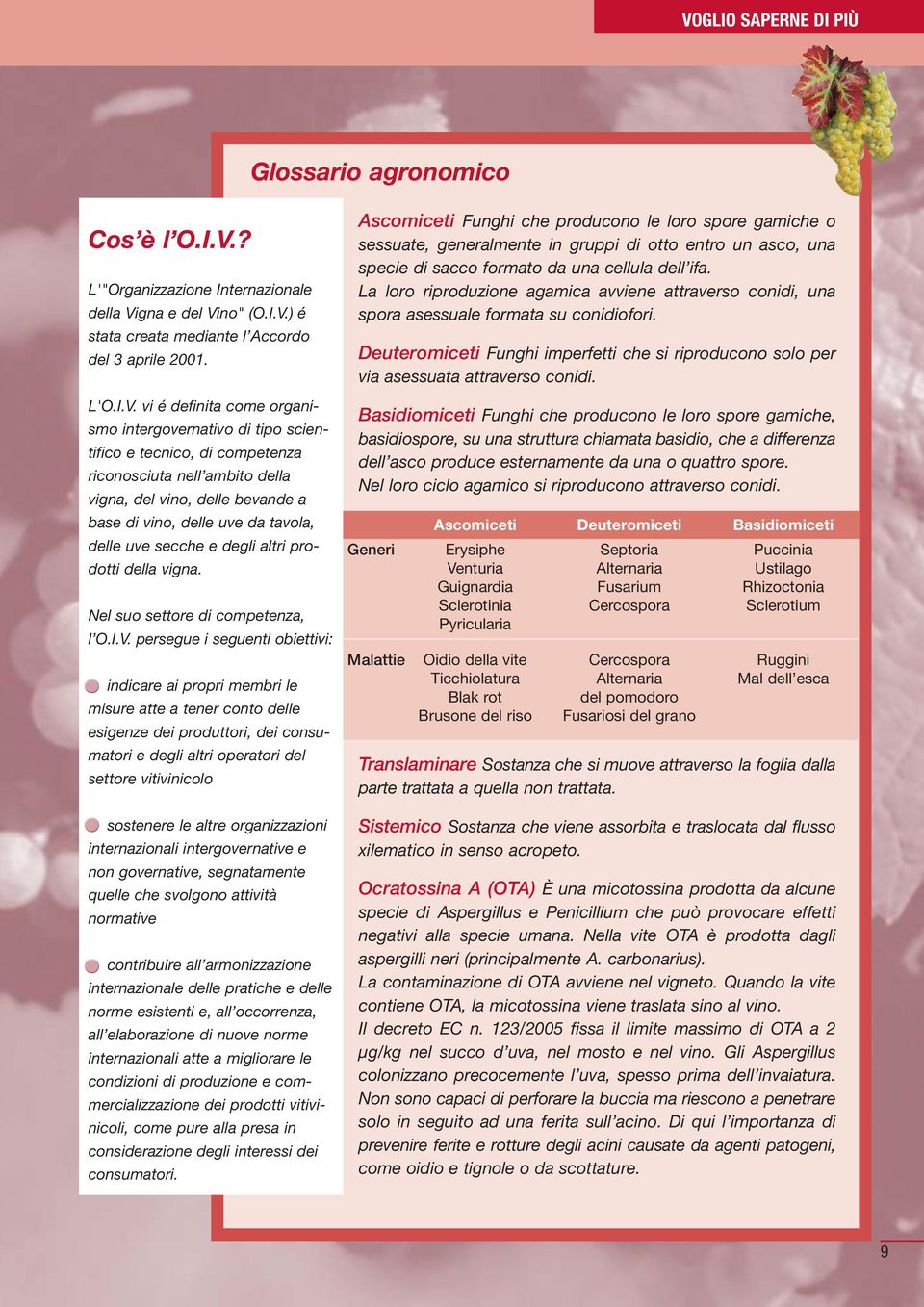 secche e degli altri prodotti della vigna. Nel suo settore di competenza, l O.I.V.