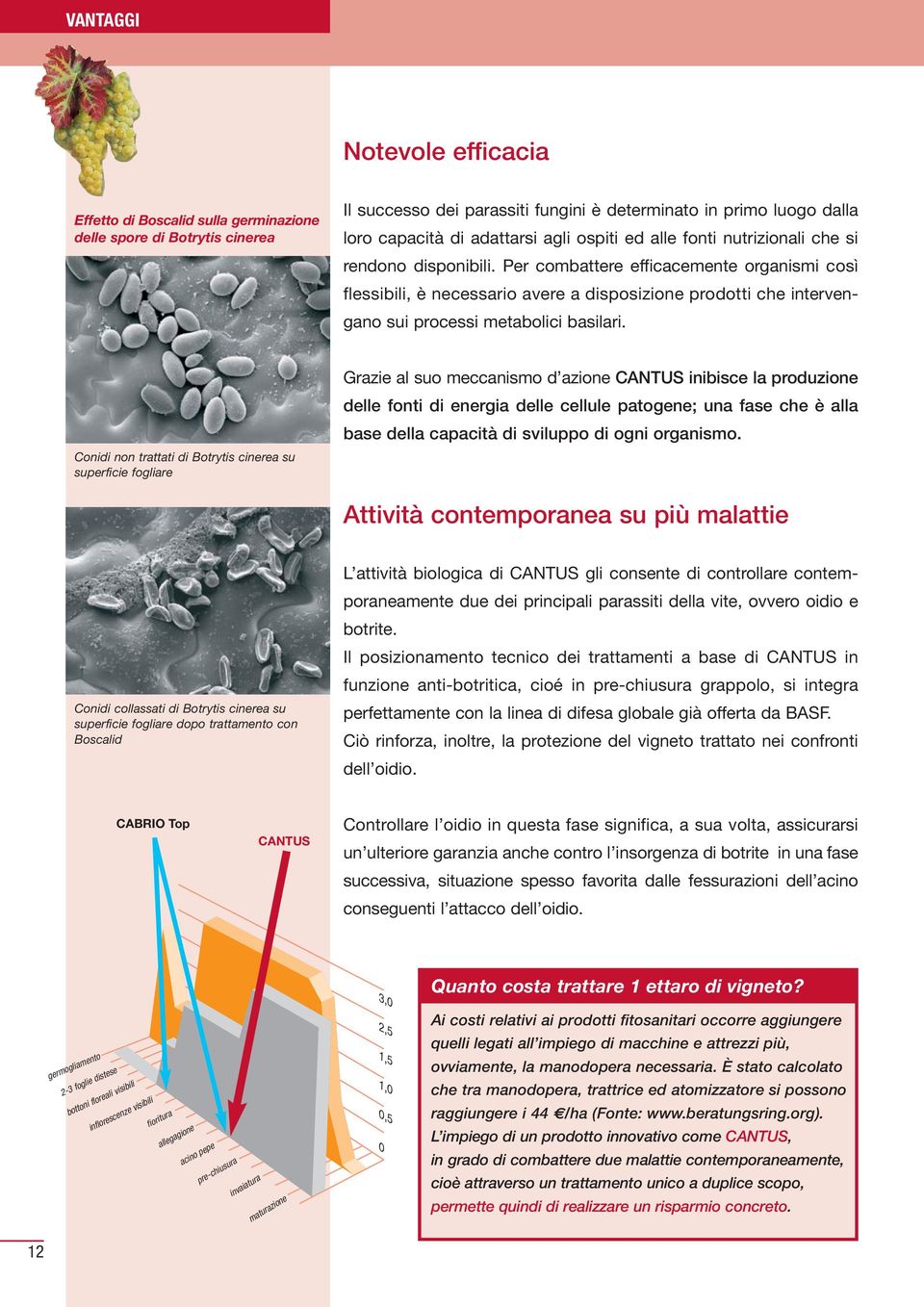 Per combattere efficacemente organismi così flessibili, è necessario avere a disposizione prodotti che intervengano sui processi metabolici basilari.