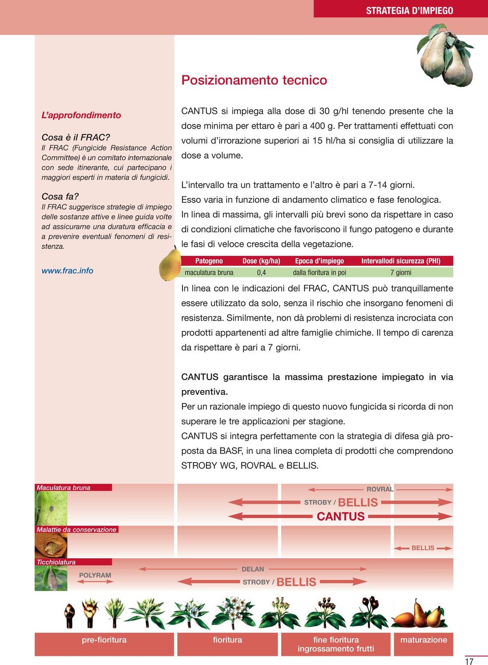 Il FRAC suggerisce strategie di impiego delle sostanze attive e linee guida volte ad assicurarne una duratura efficacia e a prevenire eventuali fenomeni di resistenza. www.frac.