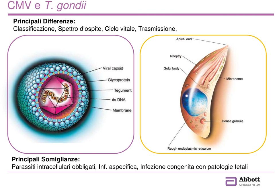 d ospite, Ciclo vitale, Trasmissione, Principali