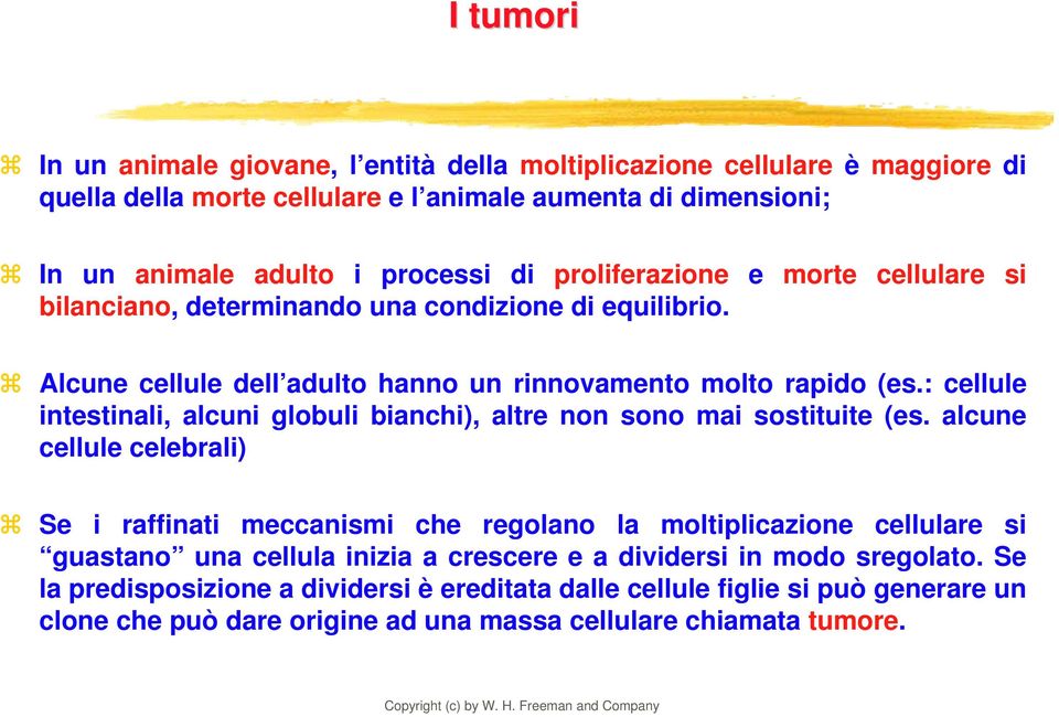 : cellule intestinali, alcuni globuli bianchi), altre non sono mai sostituite (es.