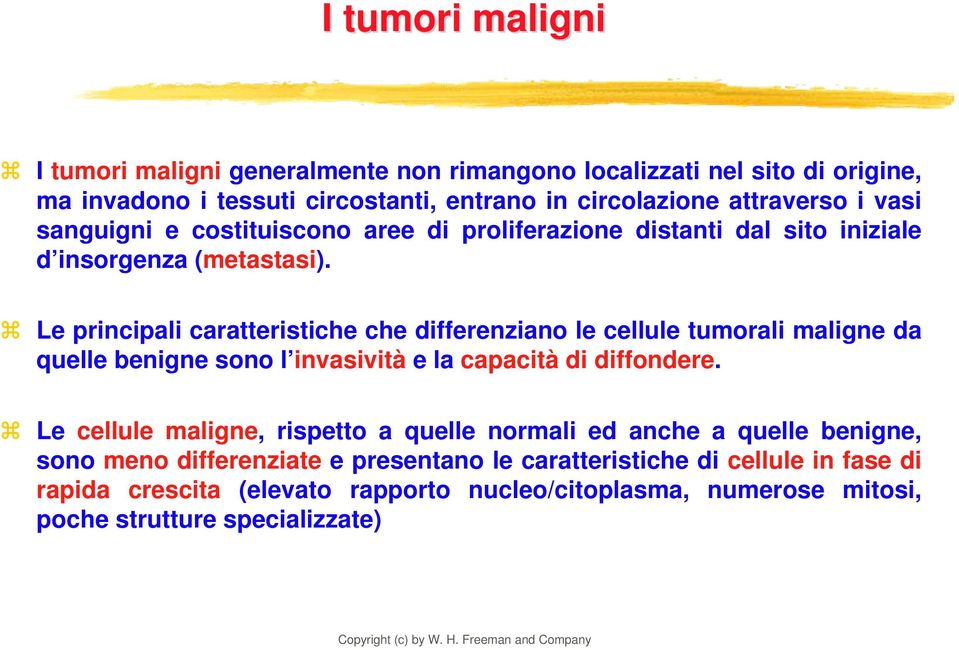 Le principali caratteristiche che differenziano le cellule tumorali maligne da quelle benigne sono l invasività e la capacità di diffondere.