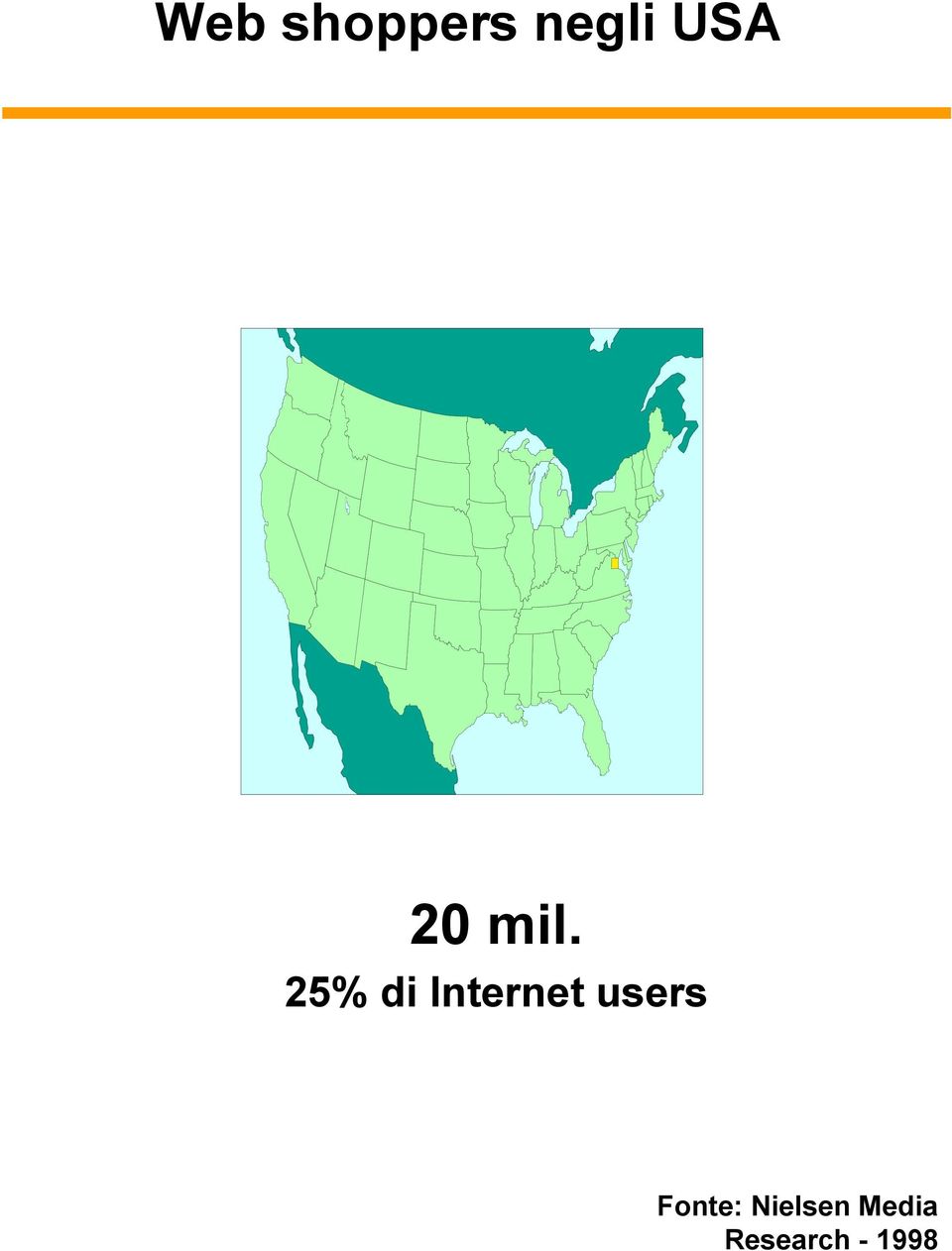 25% di Internet users