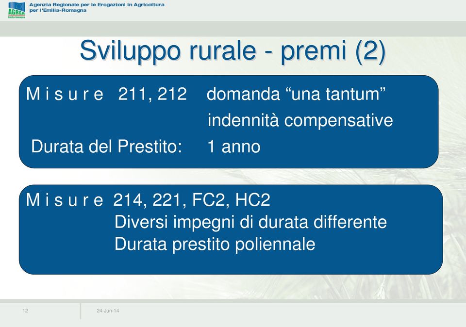 Prestito: 1 anno M i s u r e 214, 221, FC2, HC2