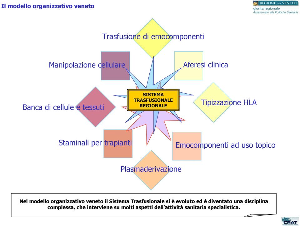 ad uso topico Plasmaderivazione Nel modello organizzativo veneto il Sistema Trasfusionale si è evoluto ed è