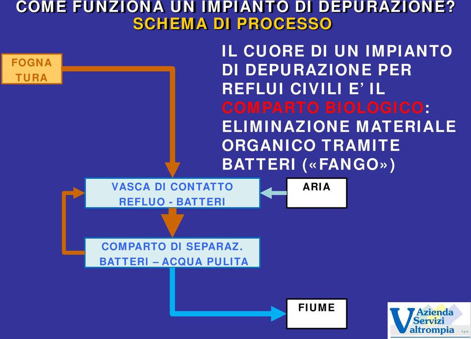 REFLUI CIVILI E IL COMPARTO BIOLOGICO: ELIMINAZIONE MATERIALE ORGANICO