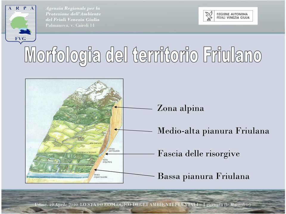 Friulana Fascia delle