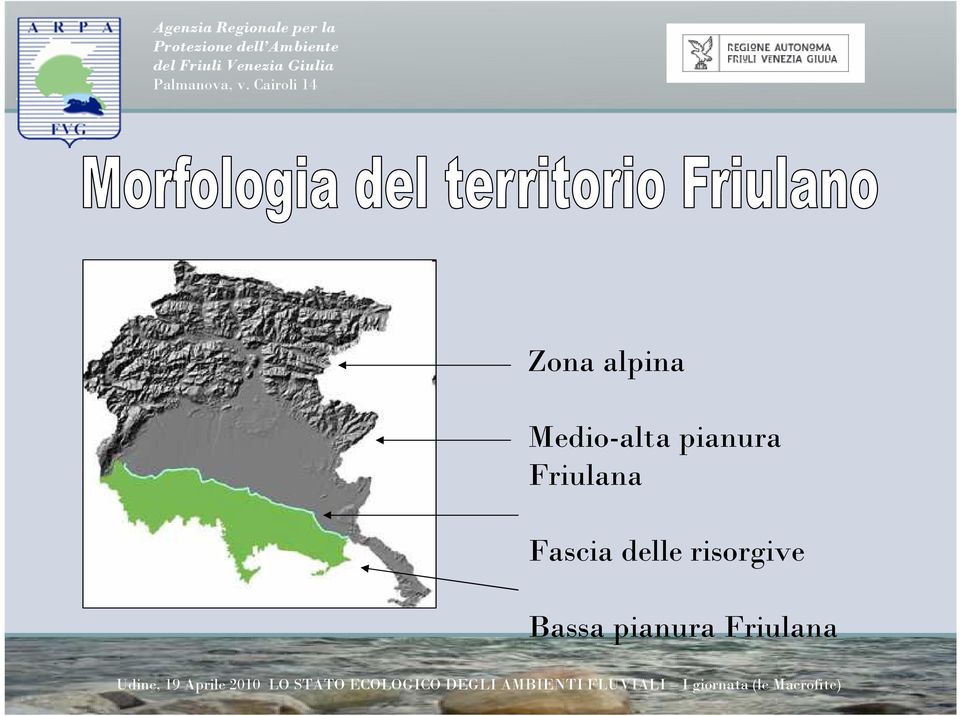 Friulana Fascia delle