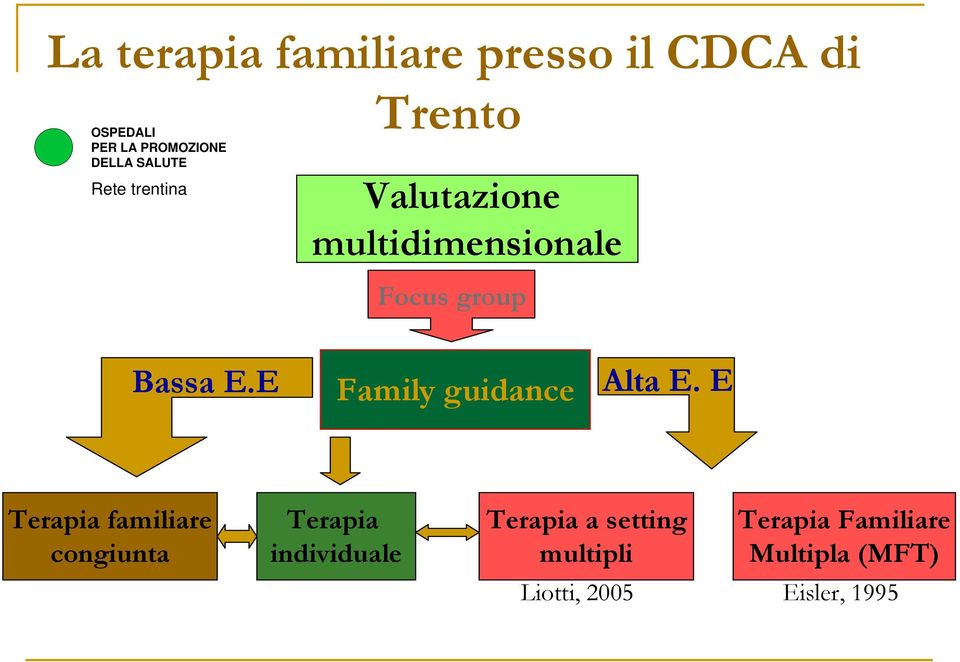 E Terapia familiare congiunta Terapia individuale Terapia a