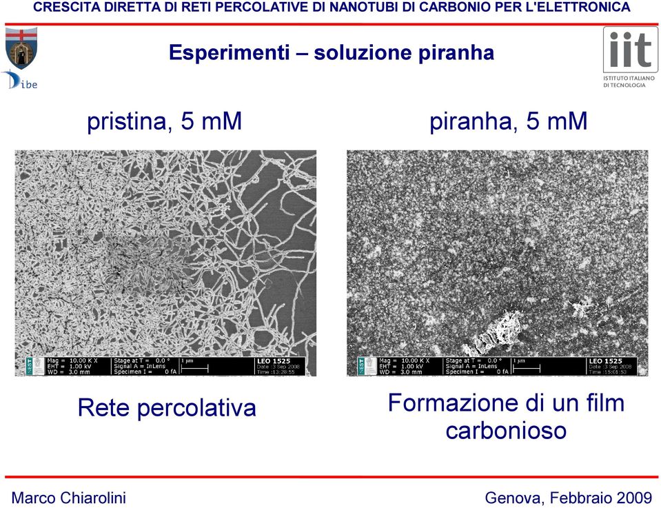 piranha, 5 mm Rete