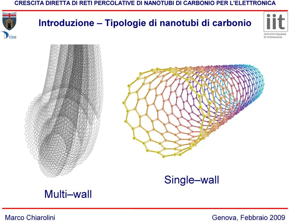 nanotubi di