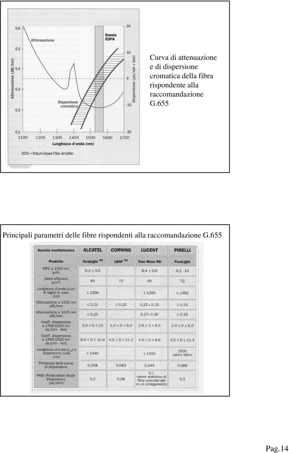 raccomandazione G.