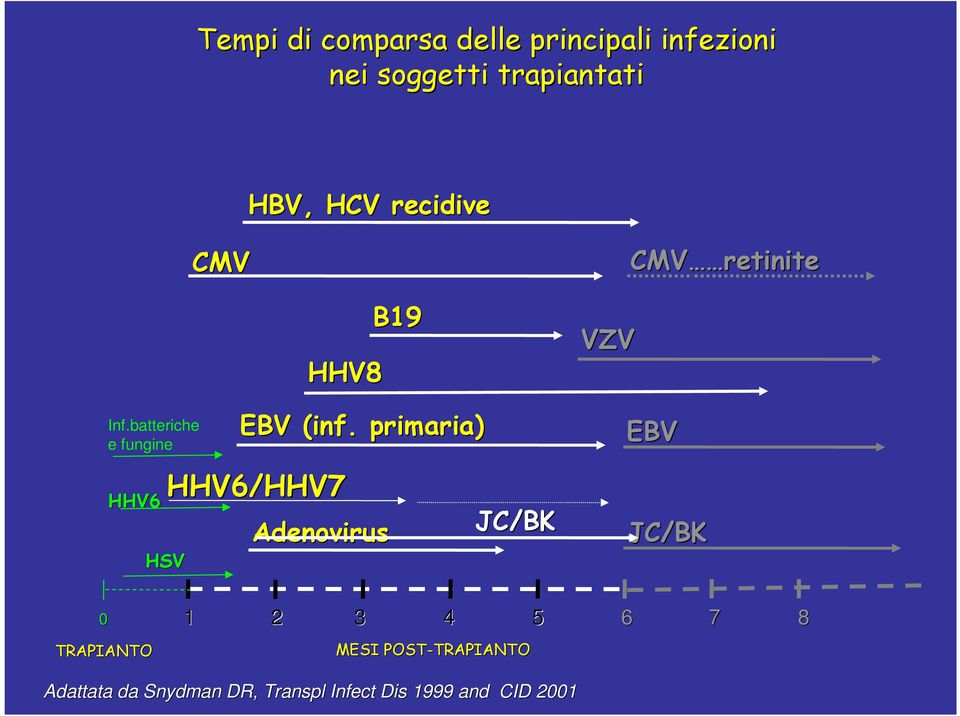 primaria) HHV6/HHV7 HSV Adenovirus B19 JC/BK VZV EBV JC/BK 0 1 2 3 4 5 6 7 8