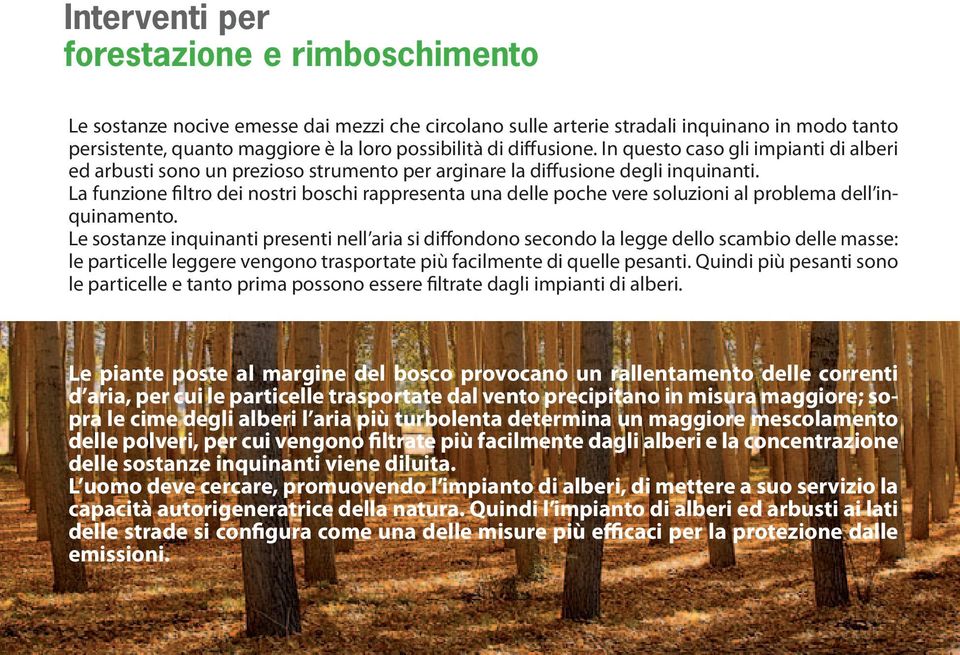 La funzione filtro dei nostri boschi rappresenta una delle poche vere soluzioni al problema dell inquinamento.