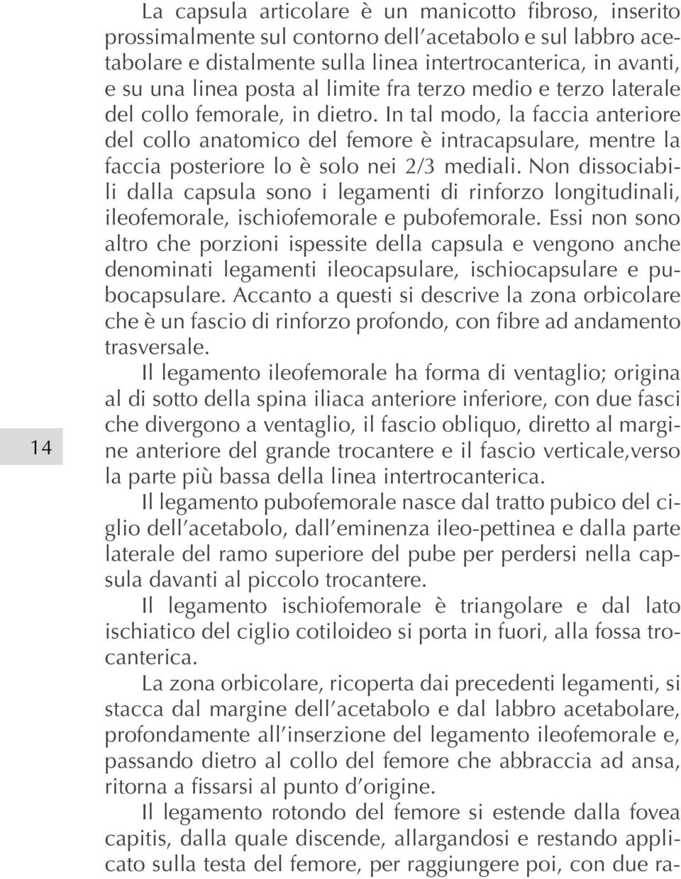 In tal modo, la faccia anteriore del collo anatomico del femore è intracapsulare, mentre la faccia posteriore lo è solo nei 2/3 mediali.