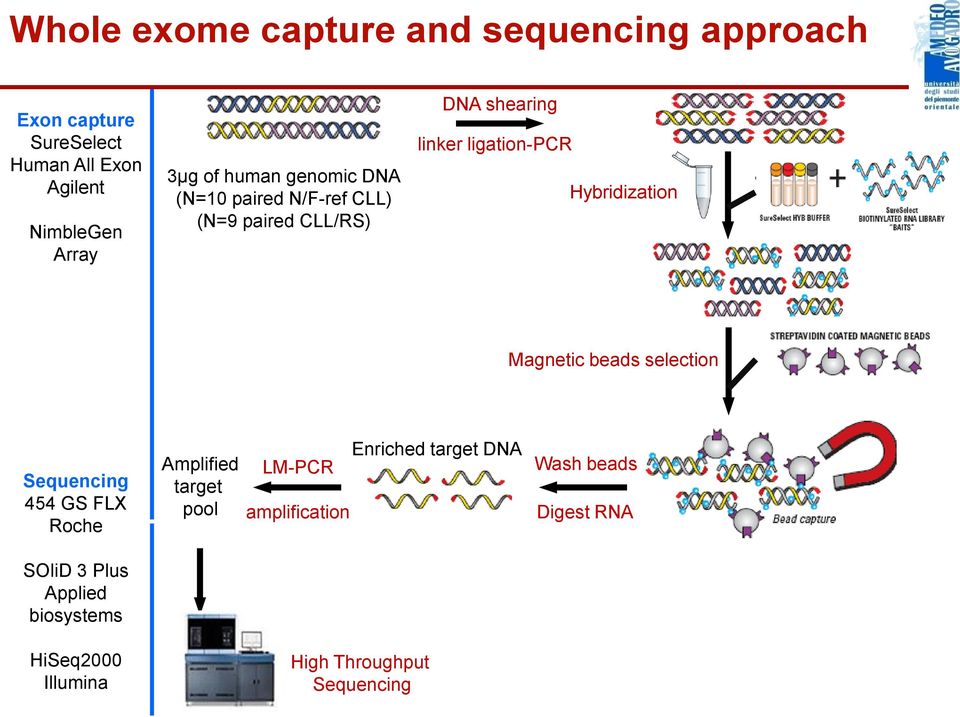 selection Magnetic beads selection Sequencing 454 GS FLX Roche Amplified target pool LM-PCR amplification Enriched target