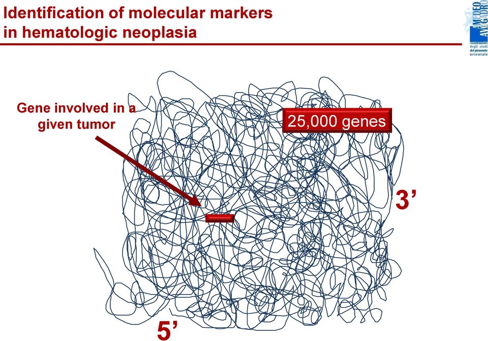 hematologic neoplasia Gene