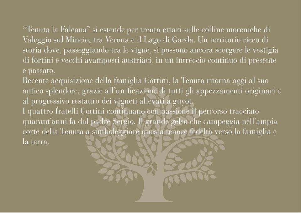 Recente acquisizione della famiglia Cottini, la Tenuta ritorna oggi al suo antico splendore, grazie all unificazione di tutti gli appezzamenti originari e al progressivo restauro dei