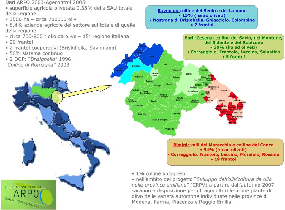 Ravenna: colline del Senio e del Lamone 15% (ha ad oliveti) Nostrana di Brisighella, Ghiacciolo, Colombina 2 frantoi Forlì-Cesena: colline del Savio, del Montone, del Bidente e del Rubicone 30% (ha