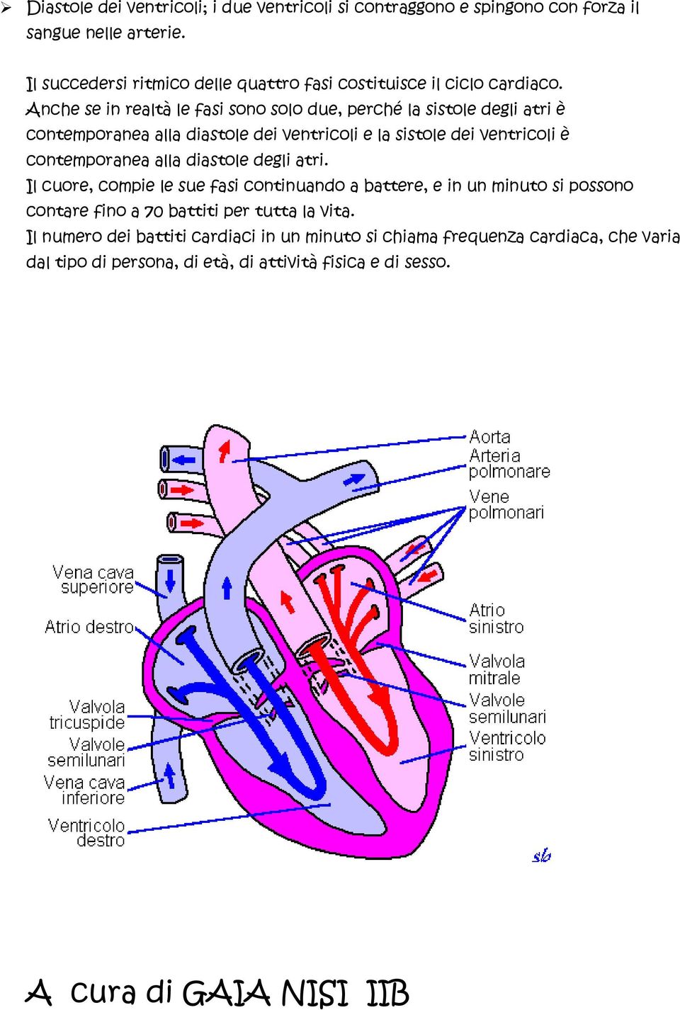 Anche se in realtà le fasi sono solo due, perché la sistole degli atri è contemporanea alla diastole dei ventricoli e la sistole dei ventricoli è contemporanea