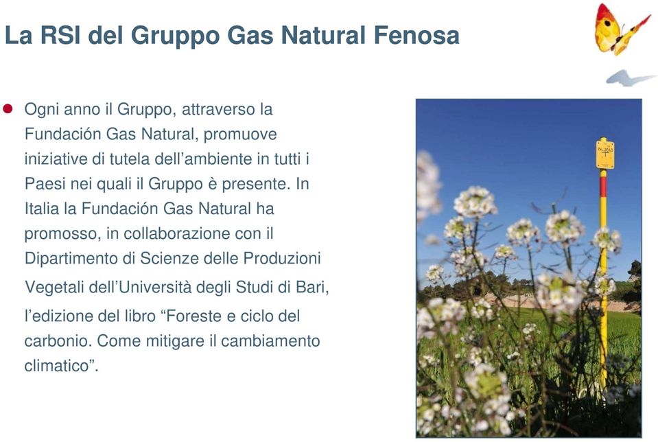 In Italia la Fundación Gas Natural ha promosso, in collaborazione con il Dipartimento di Scienze delle