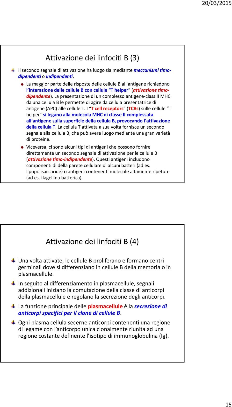 La presentazione di un complesso antigene class II MHC da una cellula B le permette di agire da cellula presentatrice di antigene (APC) alle cellule T.