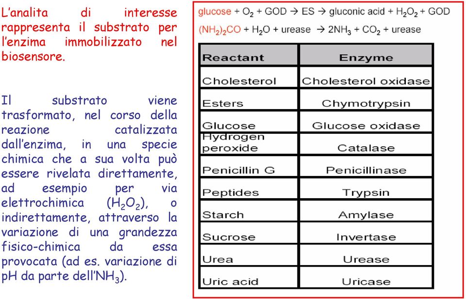 a sua volta può essere rivelata direttamente, ad esempio per via elettrochimica (H 2 O 2 ), o