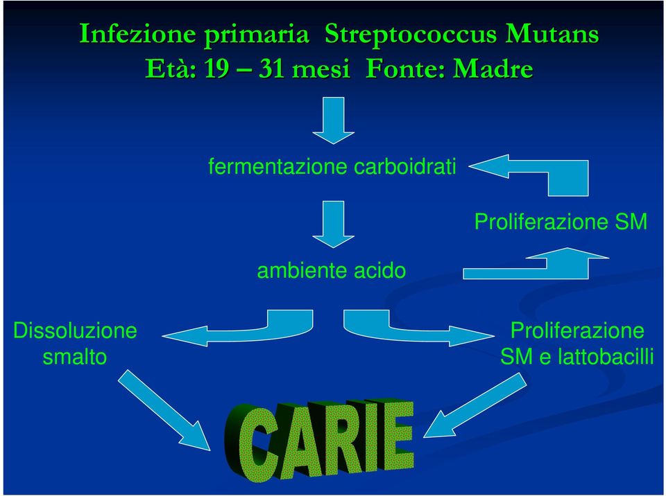 carboidrati ambiente acido Proliferazione SM
